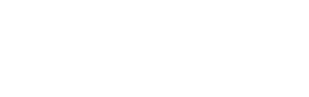 KFN Chartered Professional Accountants